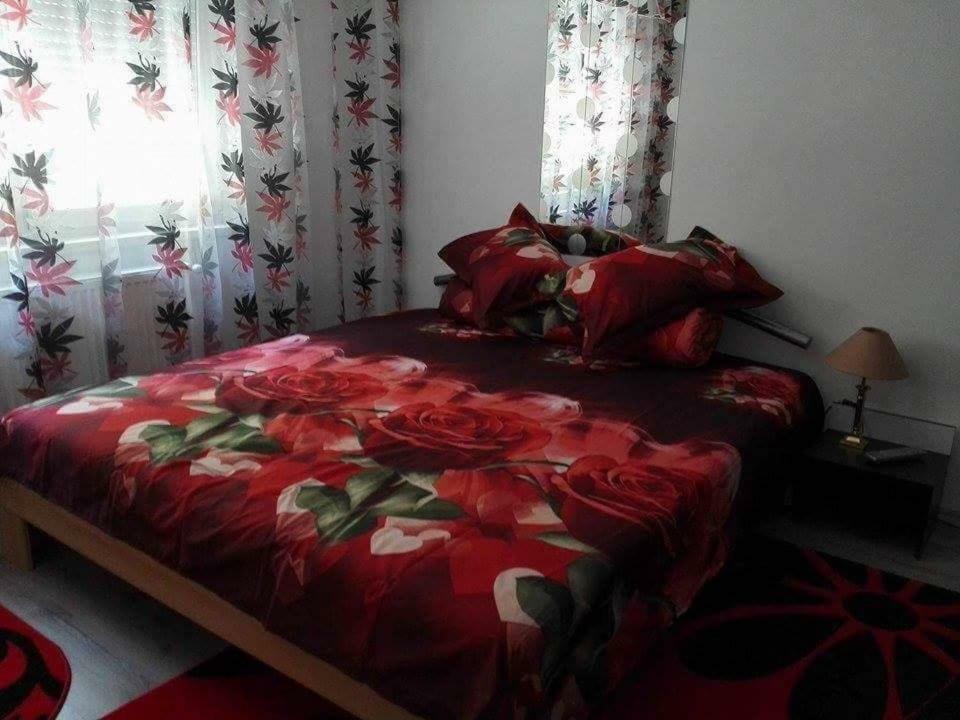 Apartament Ela Elegance Apartment Orsova Luaran gambar