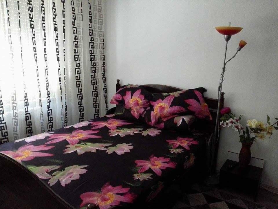 Apartament Ela Elegance Apartment Orsova Luaran gambar