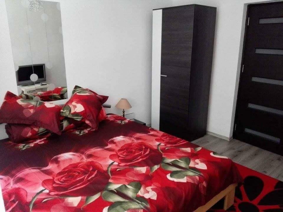 Apartament Ela Elegance Apartment Orsova Luaran gambar